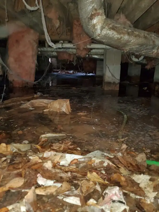 Crawl space flood assessment for Leak Detection & Repair in St. Thomas